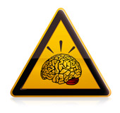 Brain